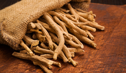 The Science of Adaptogens: How Ancient Herbs Help You Recover from Modern Life